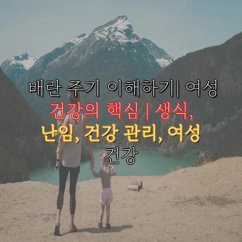 배란 주기