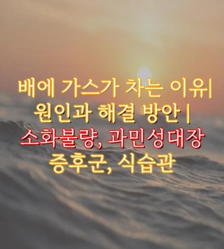 배에 가스가 차는 이유