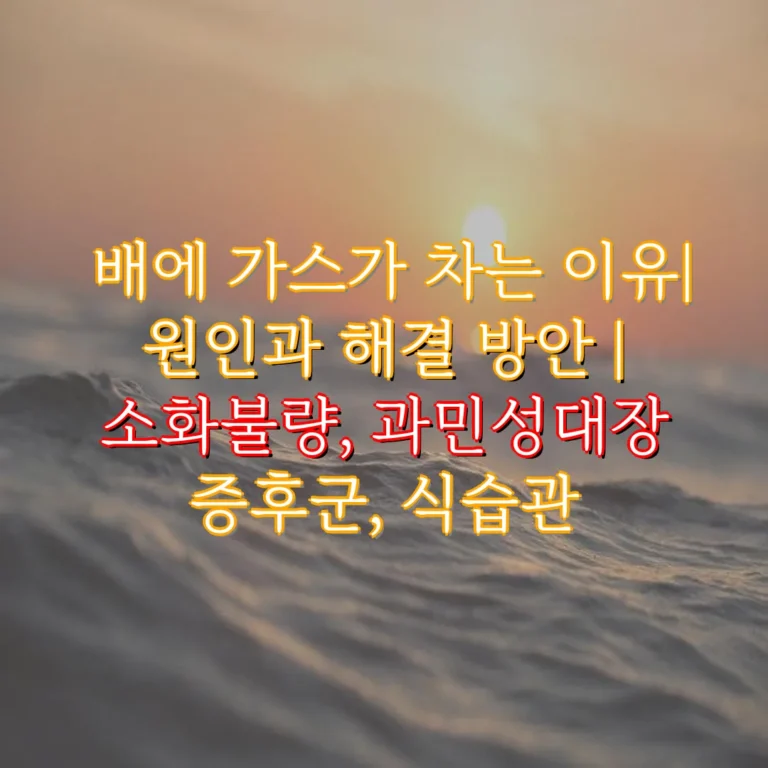 배에 가스가 차는 이유