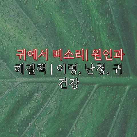 이명 난청 원인