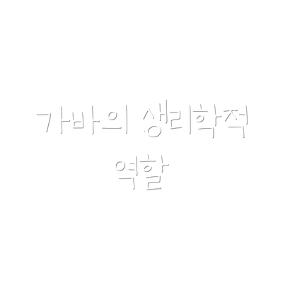 가바의 생리학적 역할