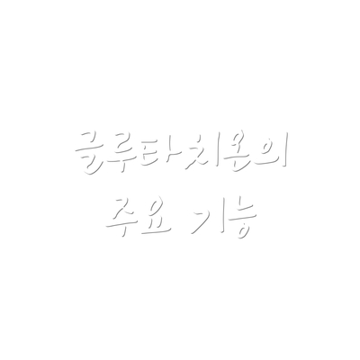 글루타치온의 주요 기능