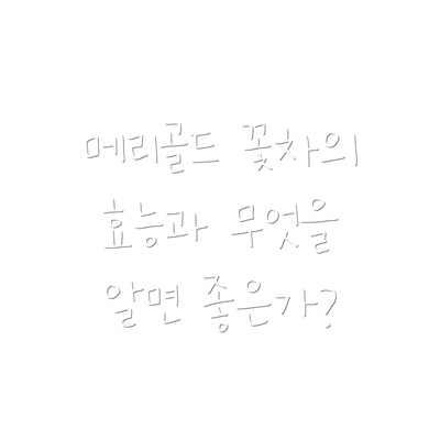 메리골드 꽃차의 효능과 무엇을 알면 좋은가?