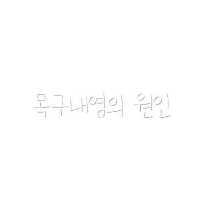 목구내염의 원인